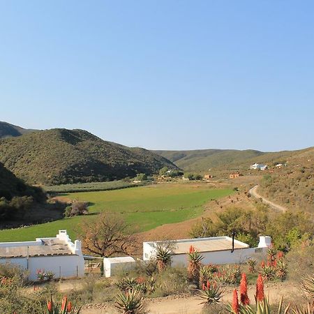 Matjiesvlei Guestfarm Vila Calitzdorp Exterior foto