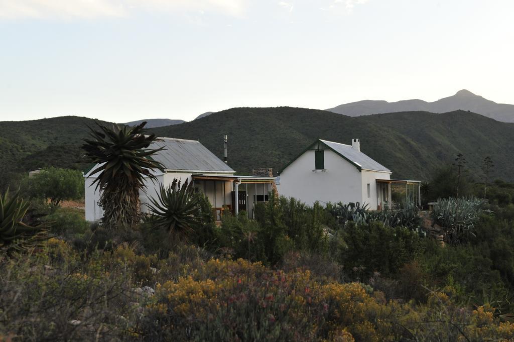 Matjiesvlei Guestfarm Vila Calitzdorp Exterior foto