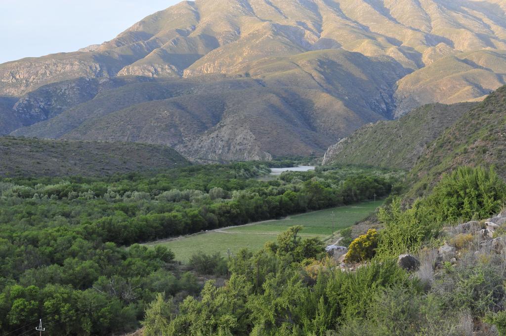 Matjiesvlei Guestfarm Vila Calitzdorp Exterior foto